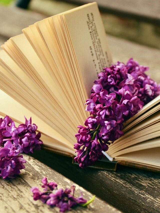cropped-a-book-759873_1280.jpg