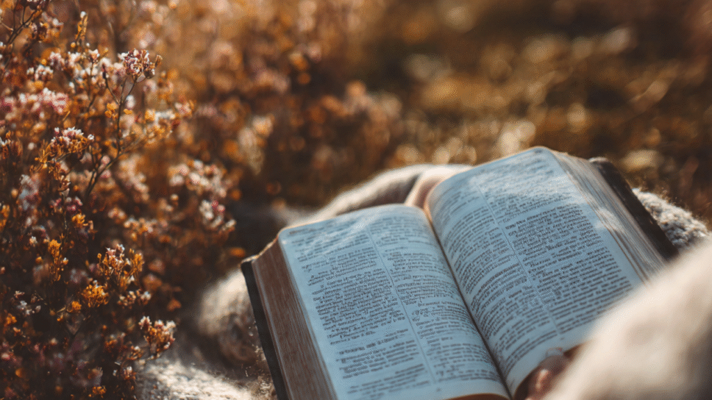 Bible Verses About Peace That Bring Rest to Your Soul