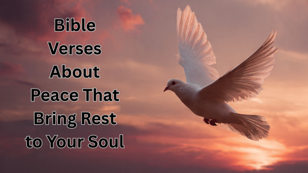 Bible Verses About Peace That Bring Rest to Your Soul