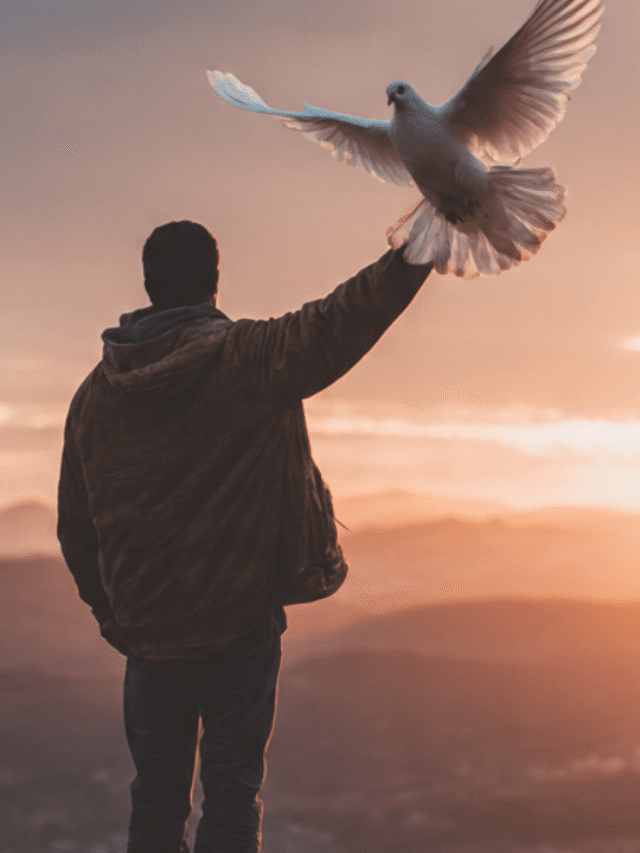 Powerful Bible Verses About Peace You Should Memorize