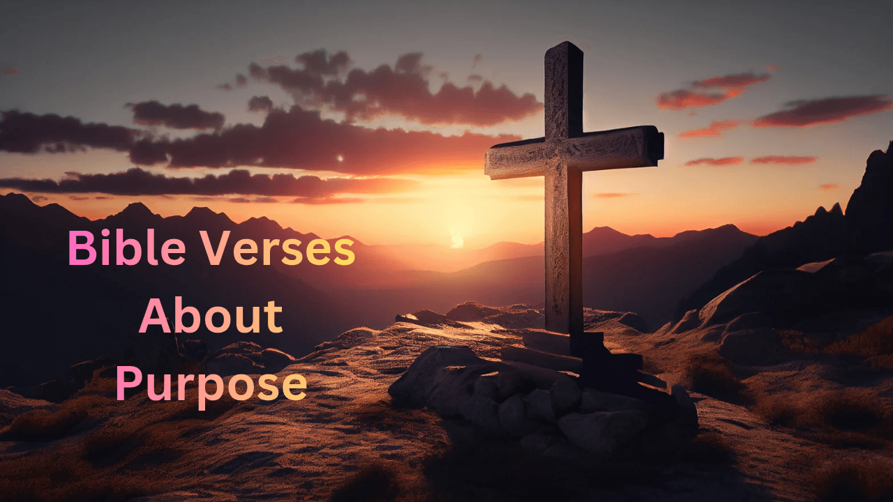 Bible Verses About Purpose