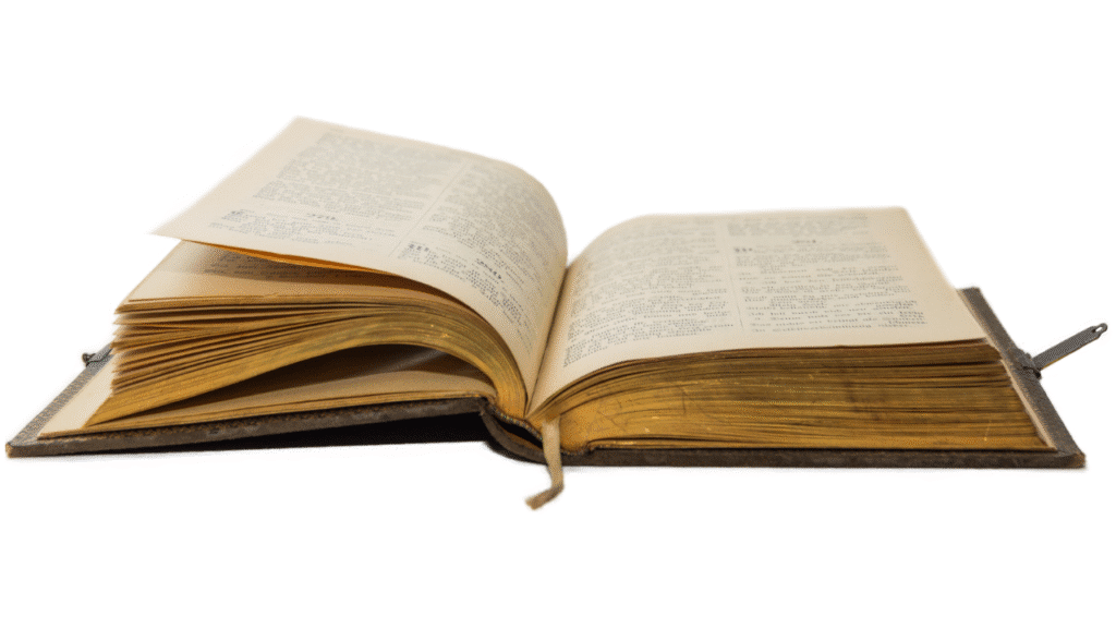 Bible Verses About Purpose