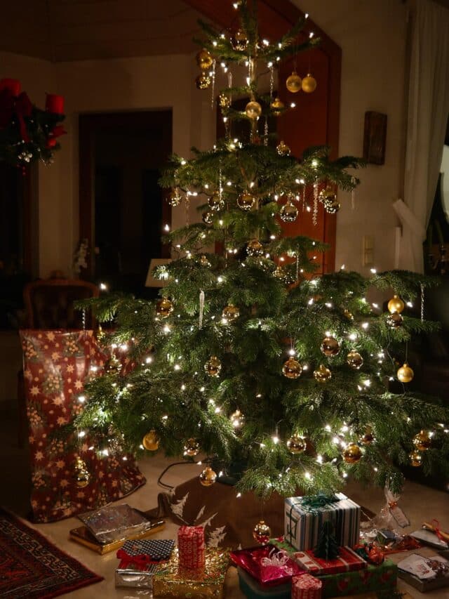Meaningful & Heartwarming Christmas Wishes