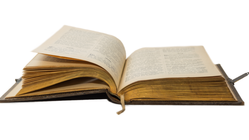 God’s Light in the Bible Mean