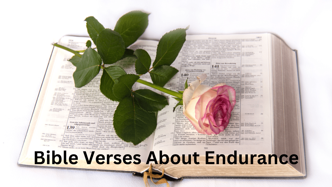 Bible Verses About Endurance