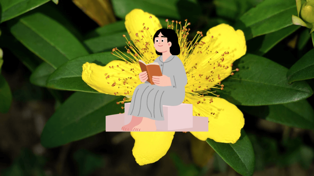 Meaning of John 3:16 + How It Brings Comfort