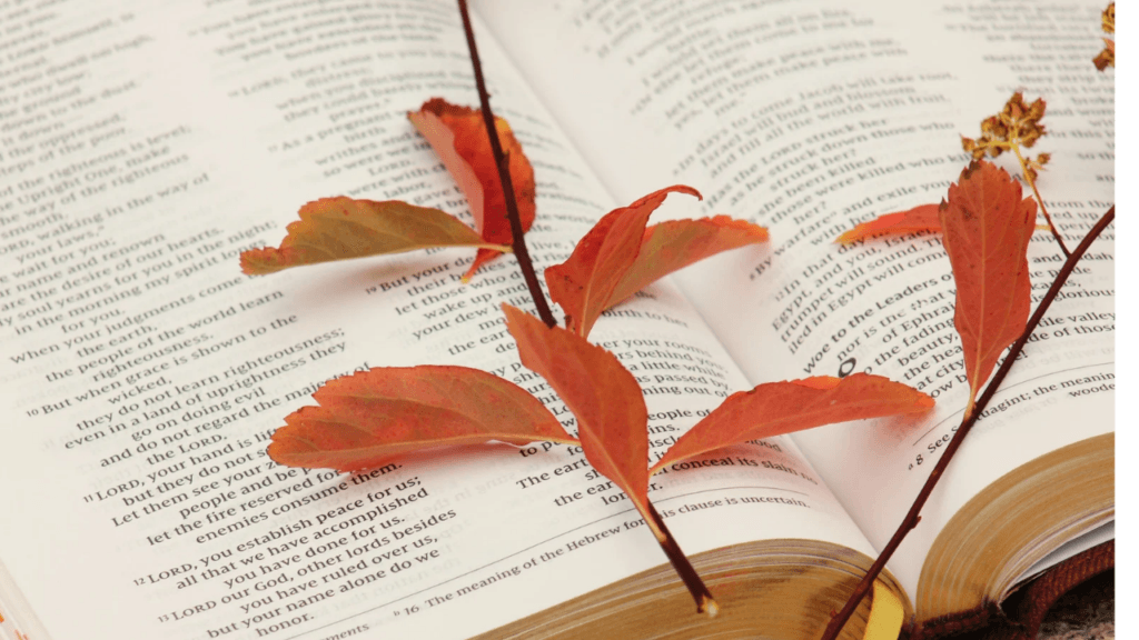 Jeremiah 29:11 – A Complete Bible Verse Explanation