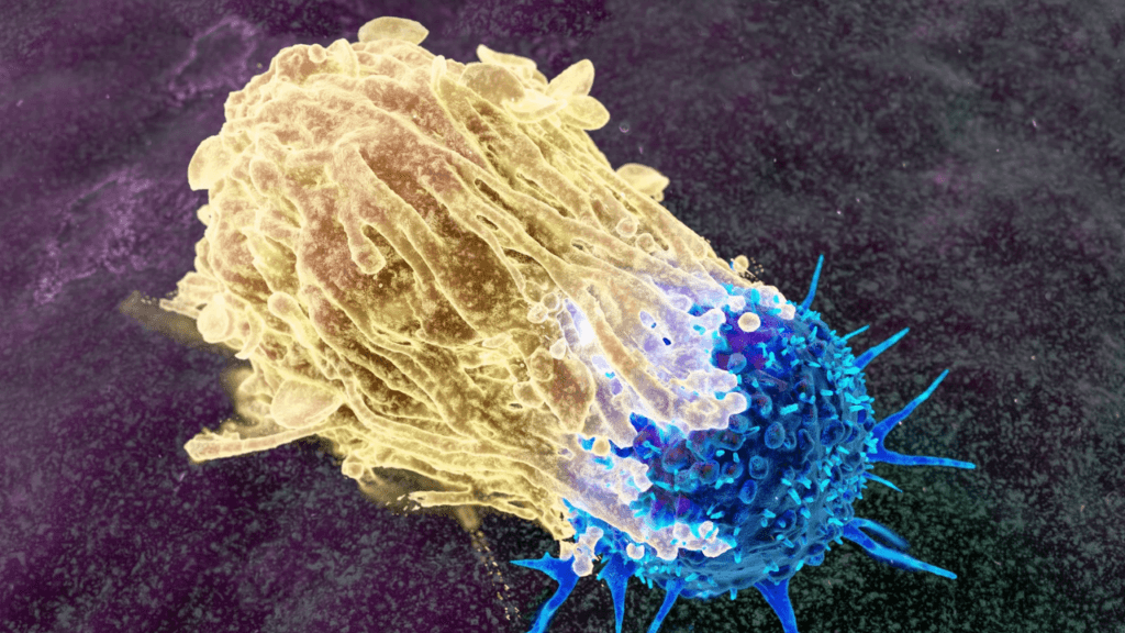 Most Powerful Prayer for Cancer Patients