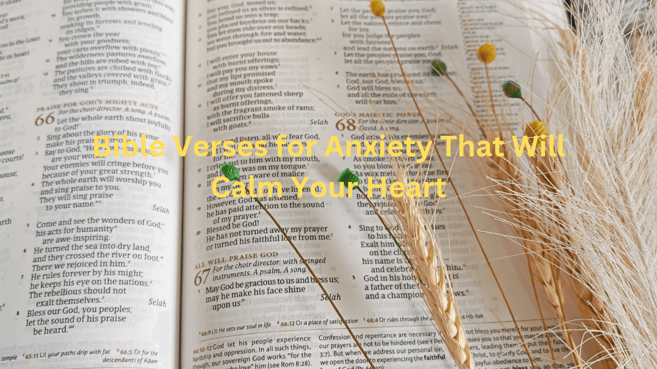 Bible Verses for Anxiety That Will Calm Your Heart
