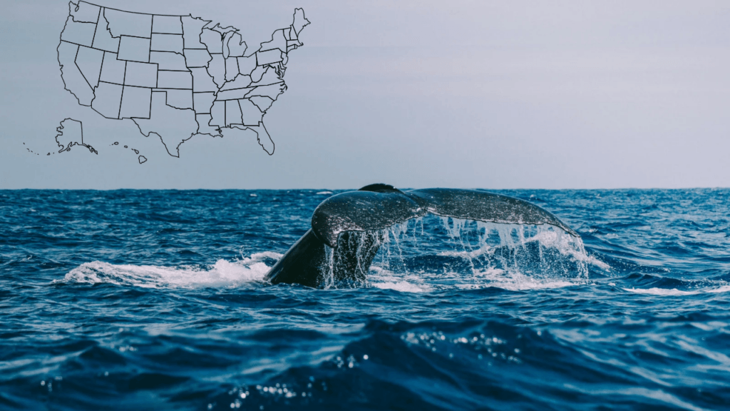 God’s Emergency Alert for America