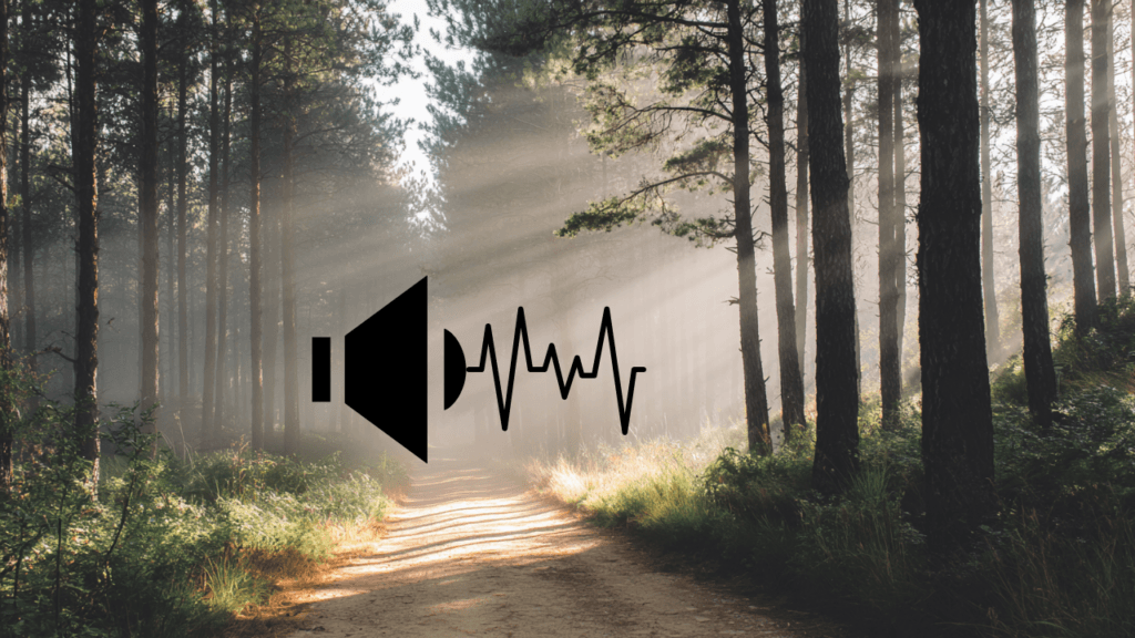 God’s Voice vs Inner Fear – How to Tell the Difference