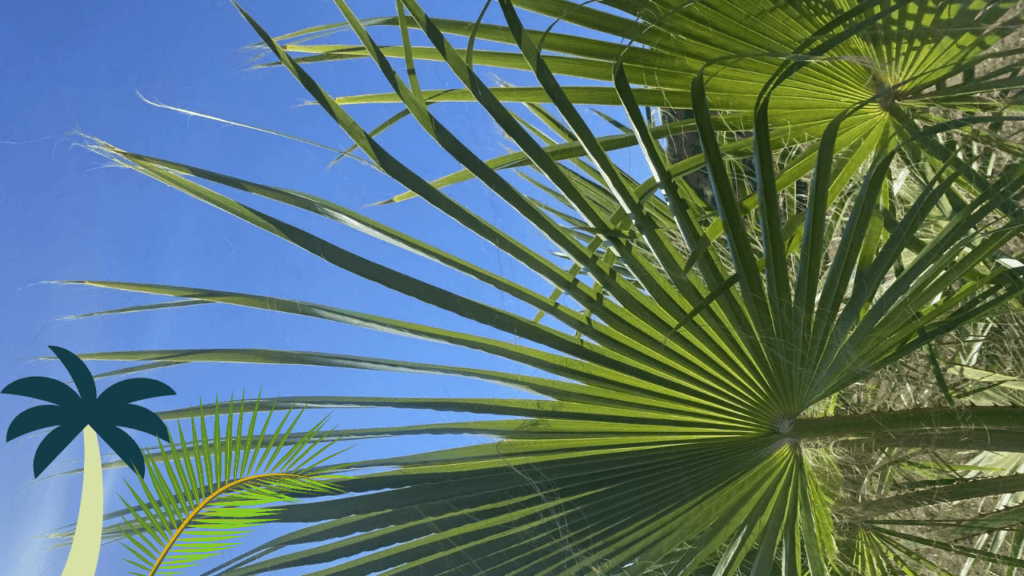 Palm Sunday Bible Verses