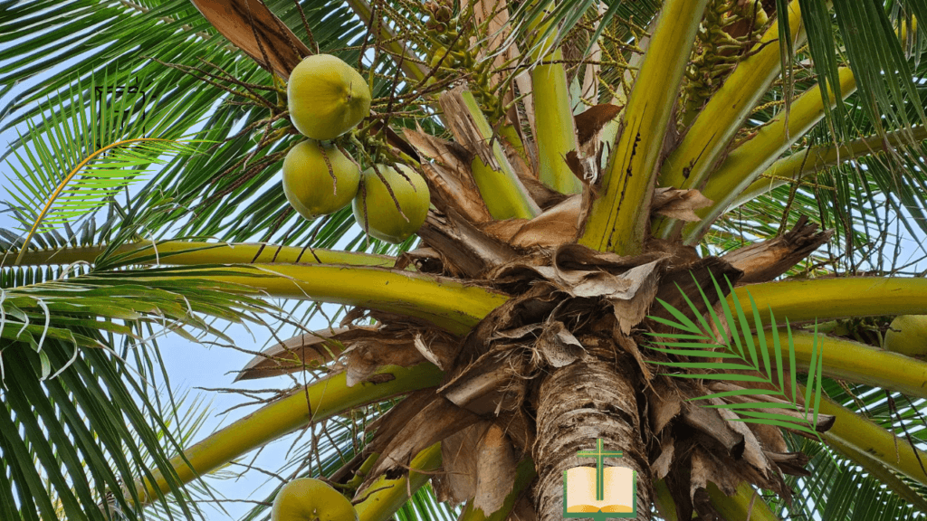 Palm Sunday Bible Verses