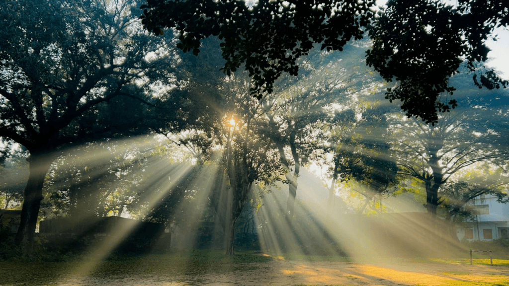 Pentecost Sunday Messages