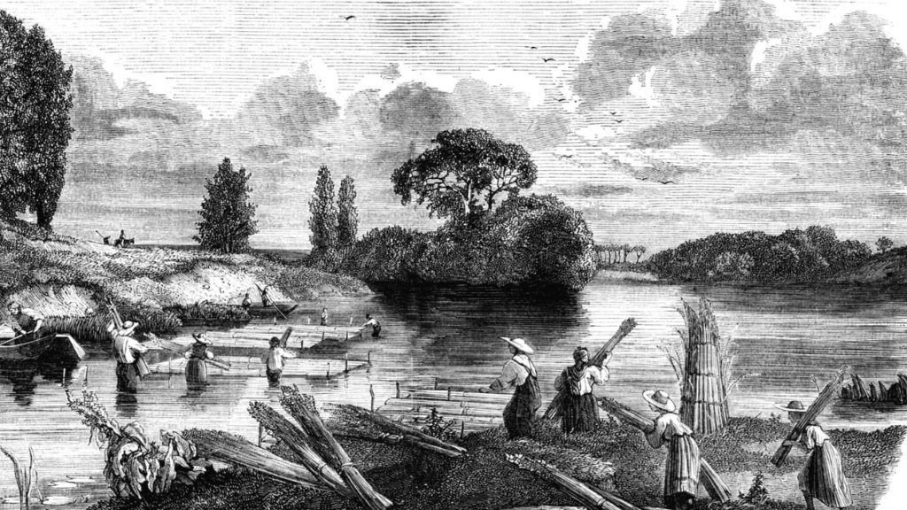 May the 4th Be With You