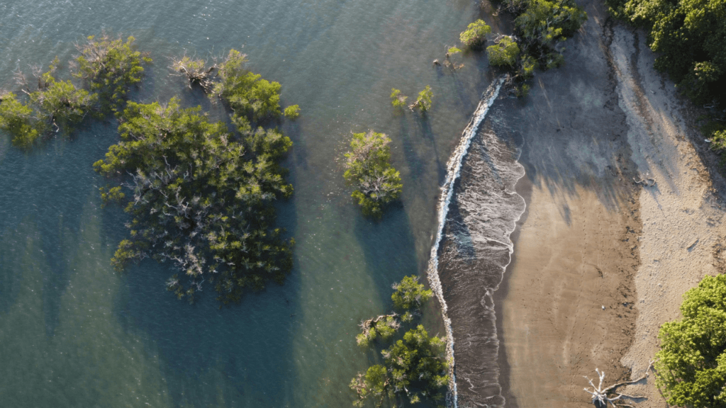 May the 4th Be With You