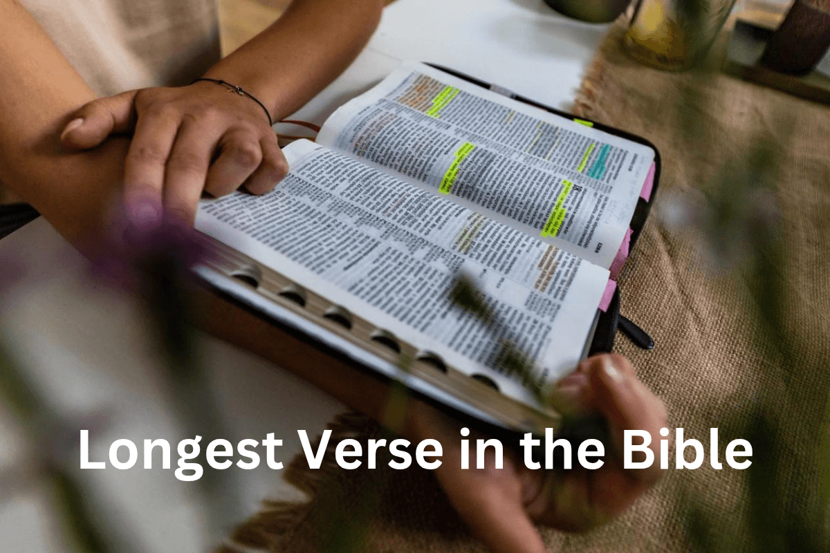 Longest Verse in the Bible