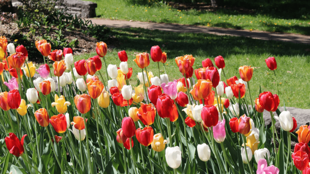 May Quotes About Spring